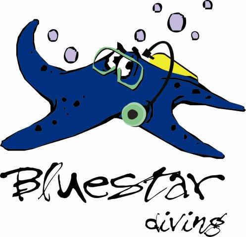 bluestar logo-jpg